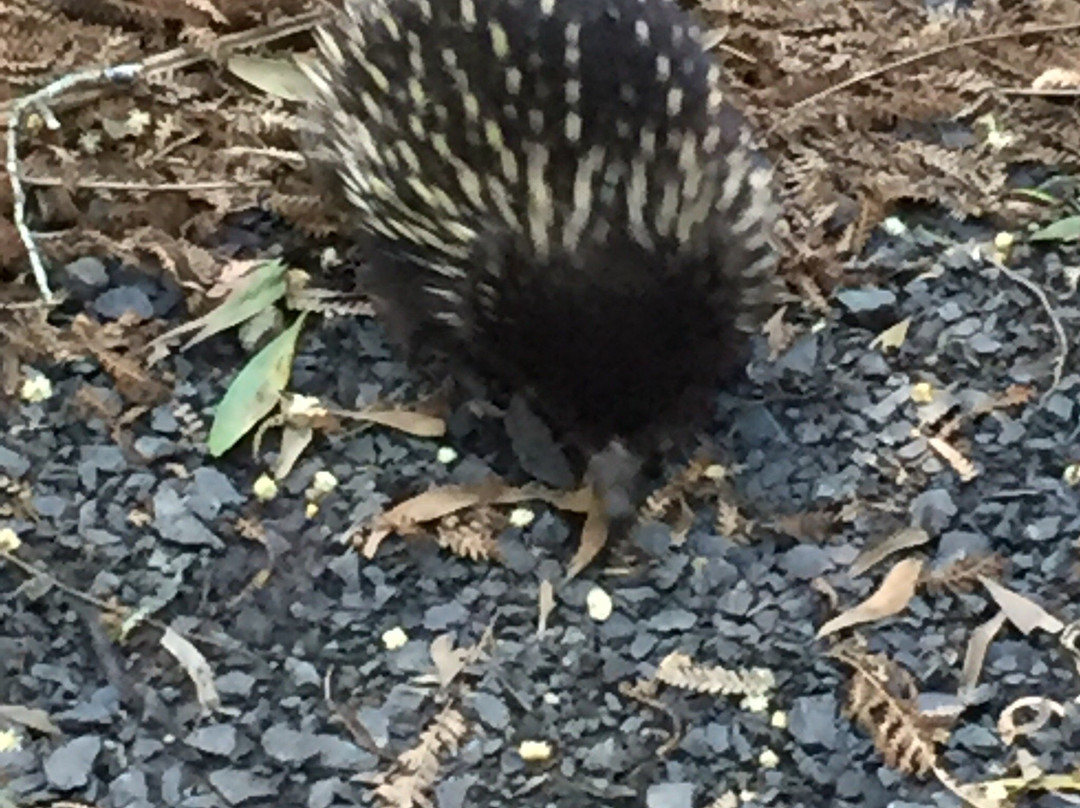 Mt Worth National Park-Allambee必去景点