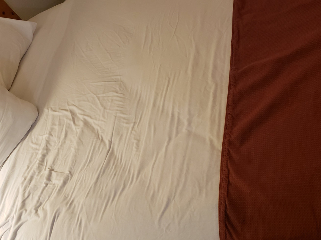 Thunderbird Inn主图