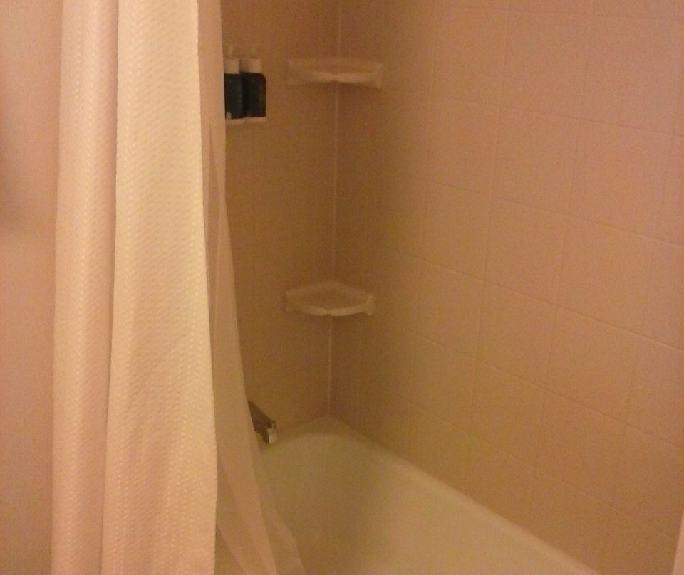 蓝道佛山新卡罗尔顿万怡酒店主图