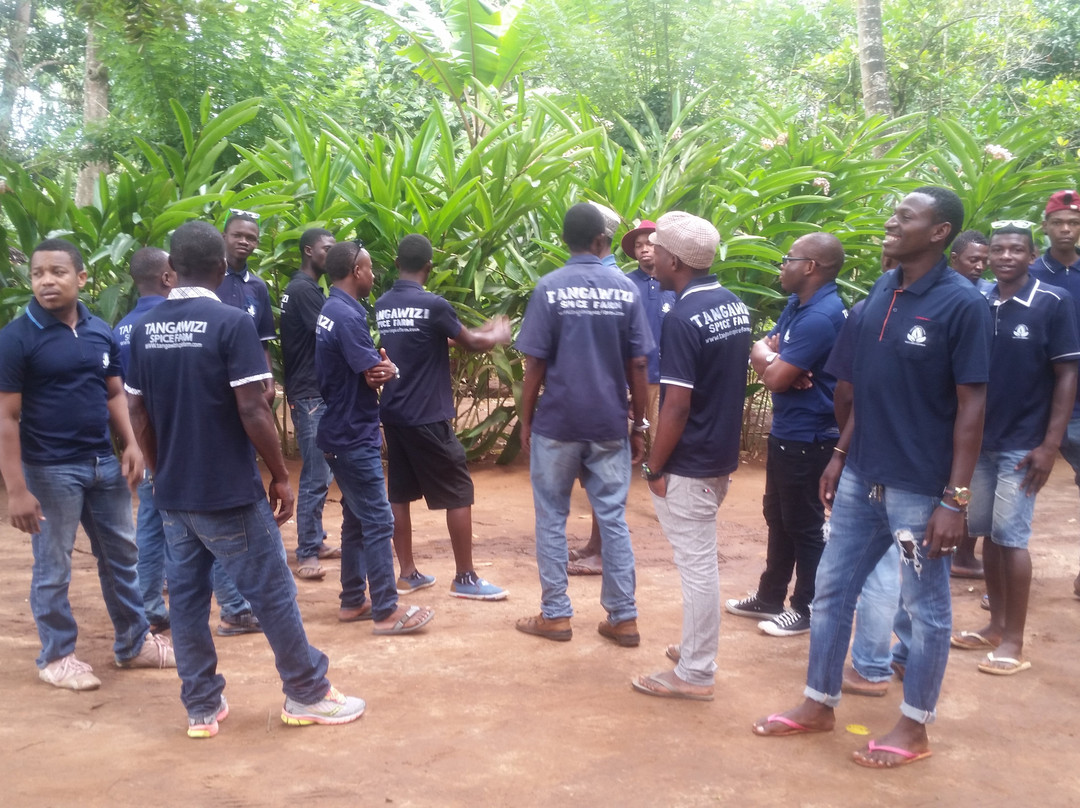 Tangawizi Spice Farm-石头城必去景点