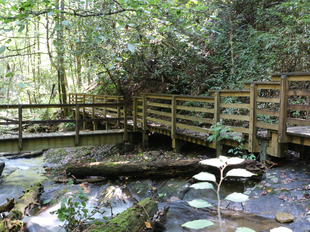 Martins Creek Falls-Clayton必去景点