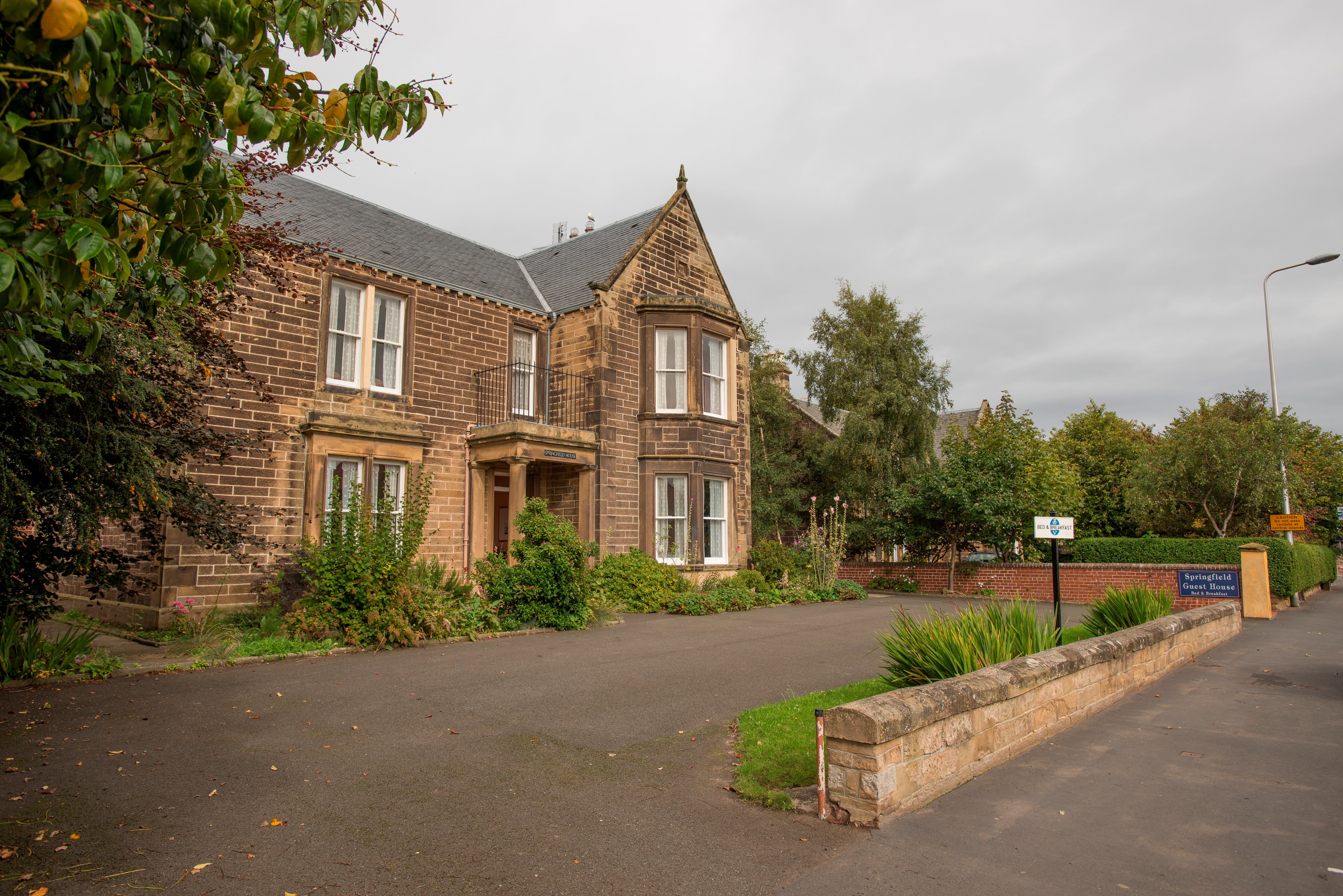 Springfield Guest House-官方