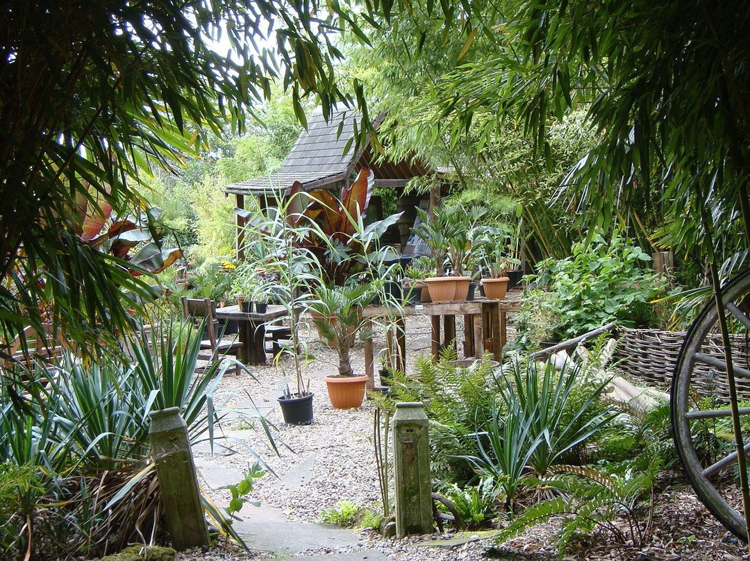 Henstead Exotic Garden景点图片