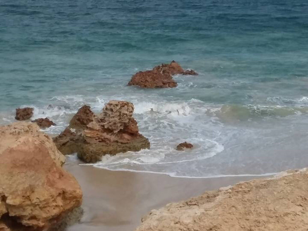 Redbanks Beach-Arno Bay必去景点