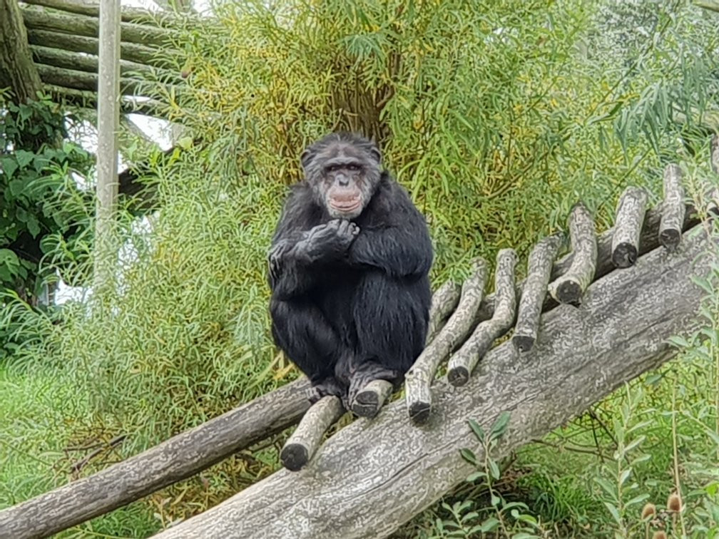 Derr Zoo-Park Arche Noah in Gromitz/Ostsee景点图片