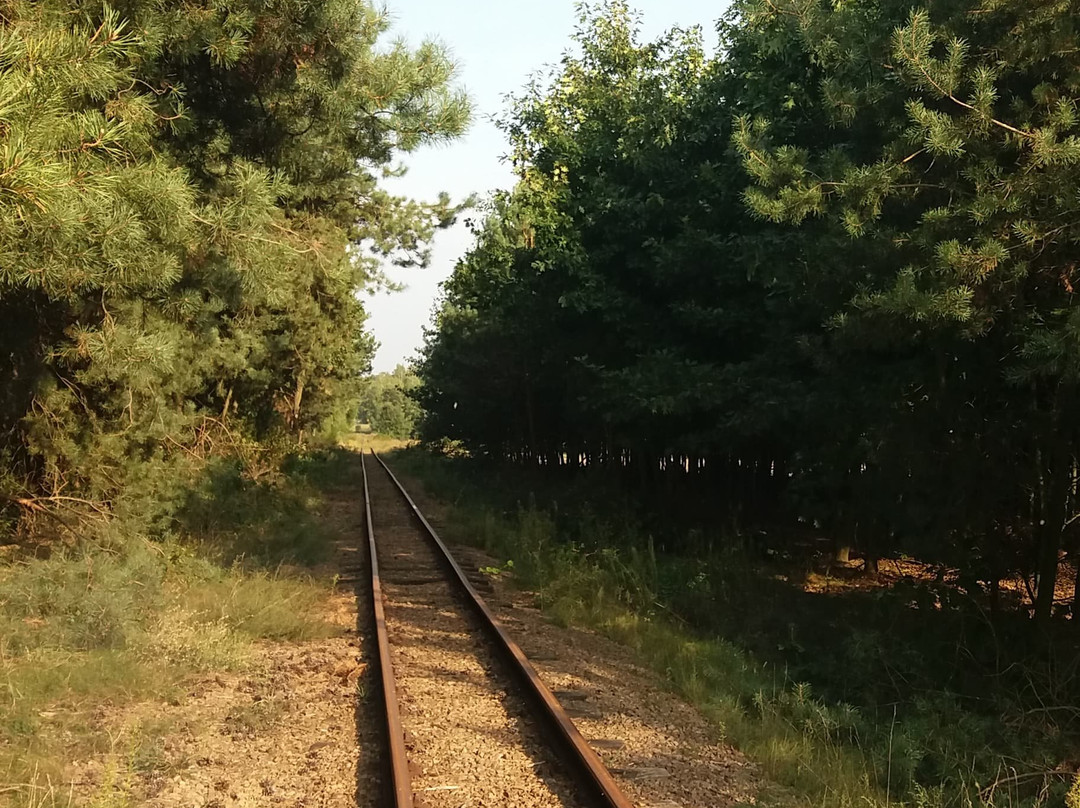 Kolej Waskotorowa Rogow - Rawa - Biała景点图片