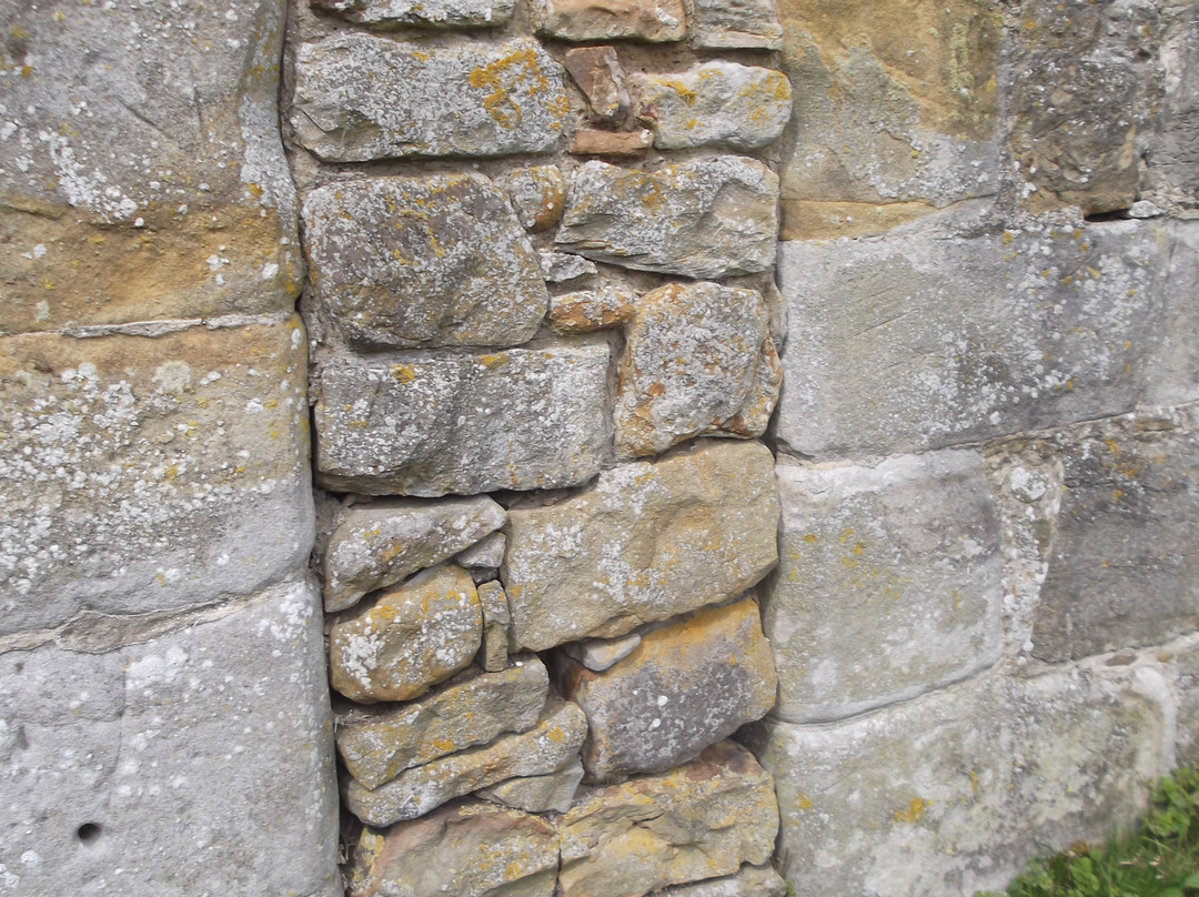 Black Middens Bastle House景点图片