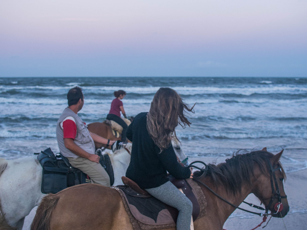 Cabalgatas Punta del Diablo-Punta del Diablo必去景点