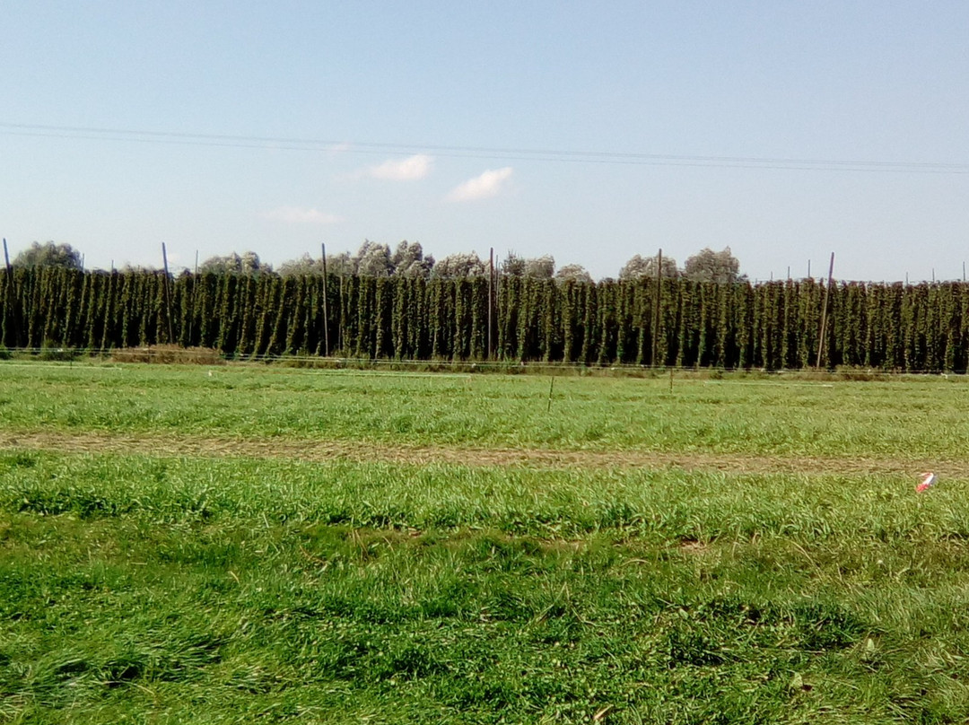 La Ferme Beck景点图片