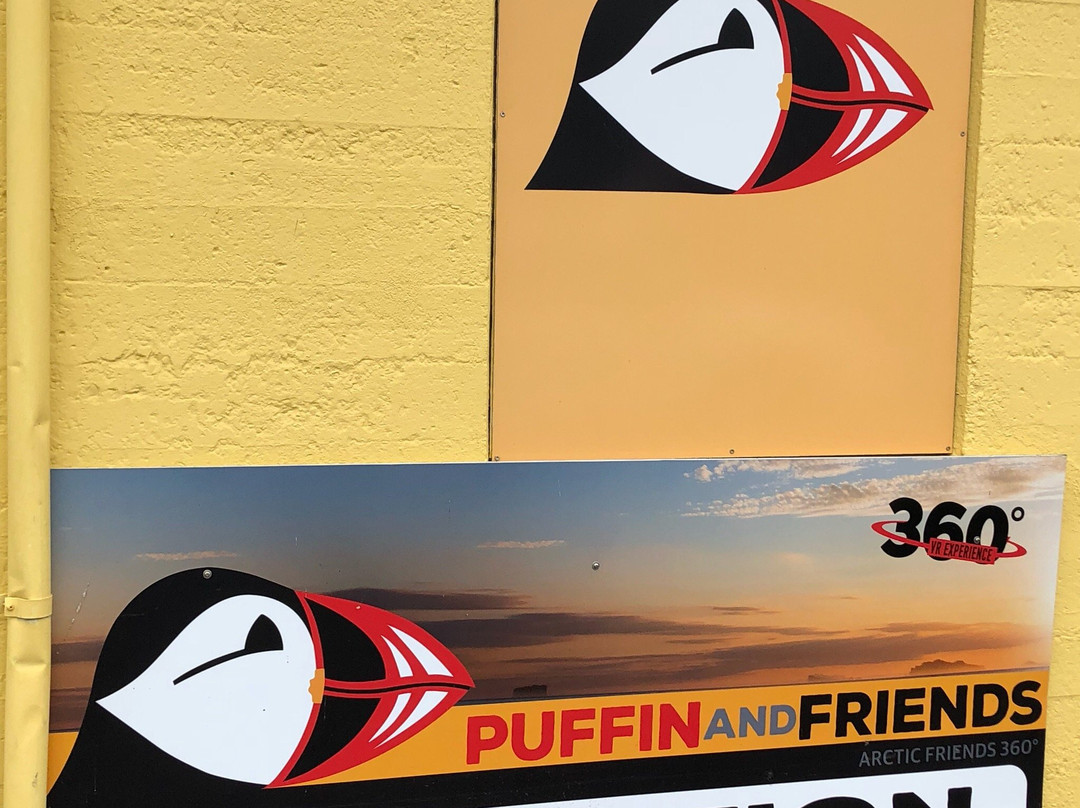 Puffin and Friends景点图片