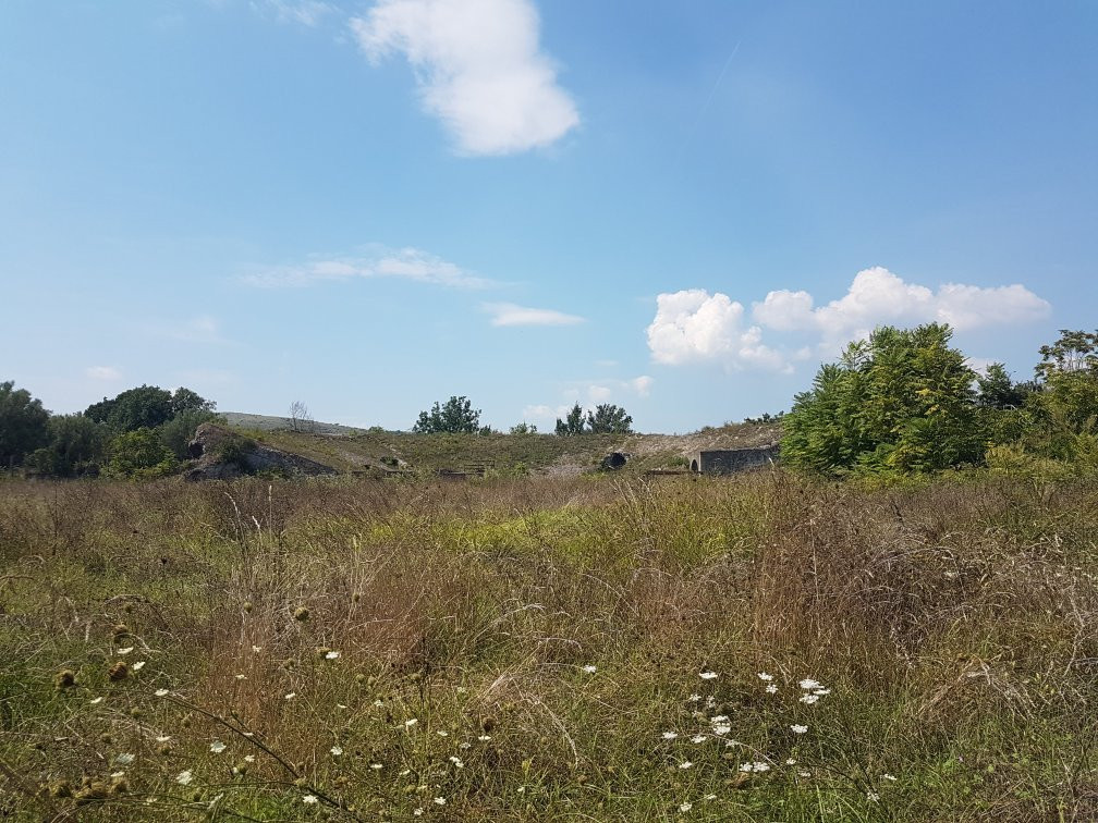 Sito Archeologico Dell'antica Cales景点图片