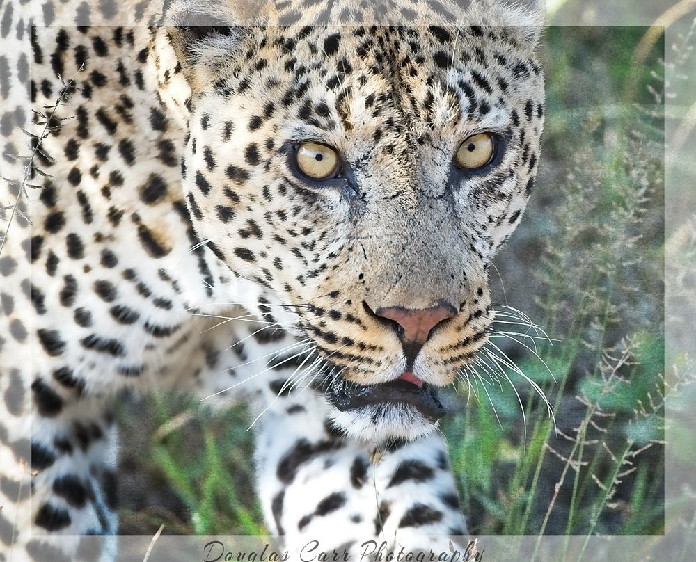 Photo Safari Experiences-玛洛斯帕克必去景点