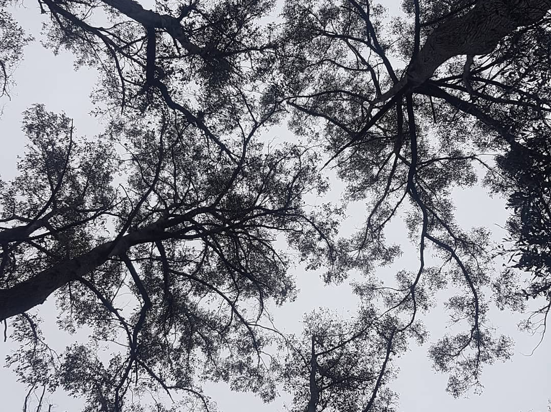 Lobster Falls-茉莉溪必去景点