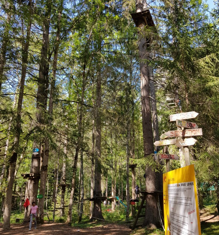 Aventure Parc Accro Branche景点图片