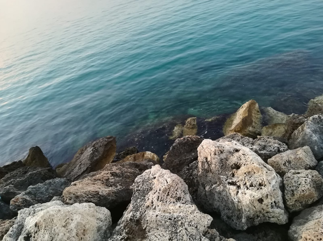 Lido Saraceni景点图片