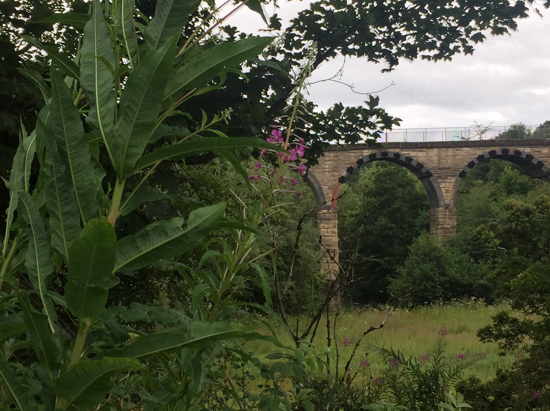 Balbirnie Railway Viaduct