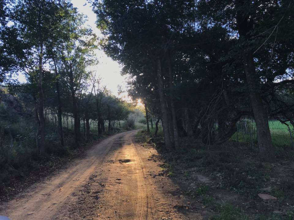 Welvanpas Guest Farm主图