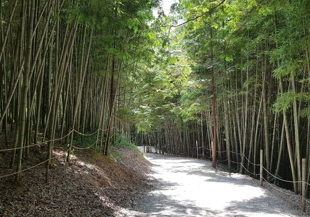潭阳郡旅游景点-Damyang Juknokwon
