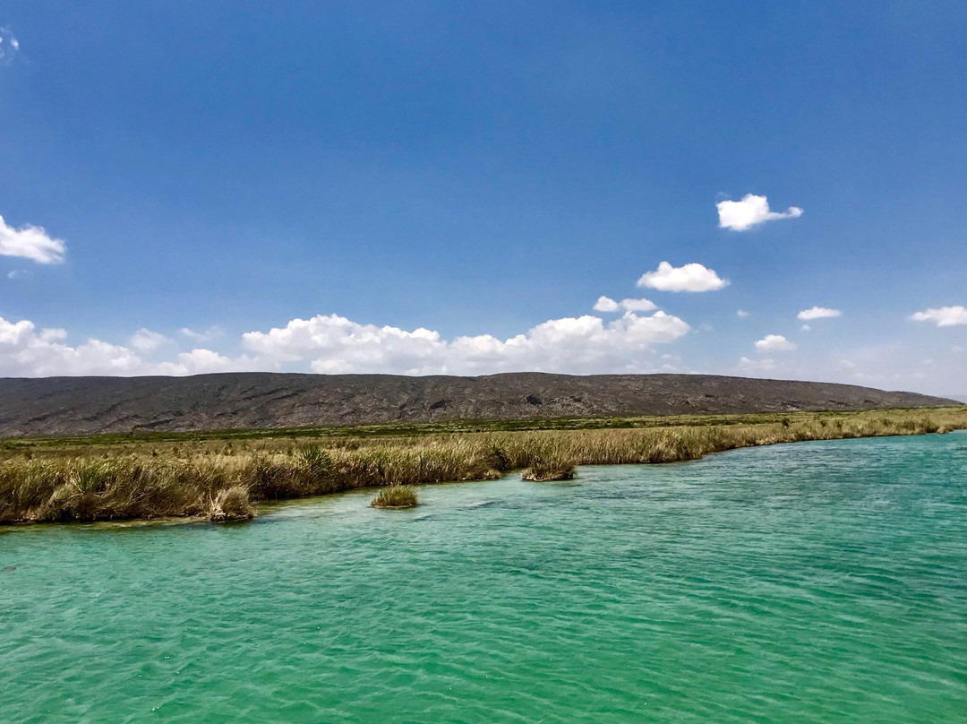 Rio Los Mesquitez景点图片