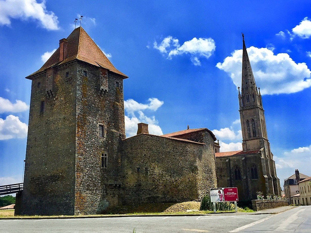 Château d'Ardelay景点图片