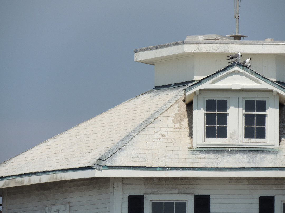 Middle Bay Lighthouse-莫比尔必去景点