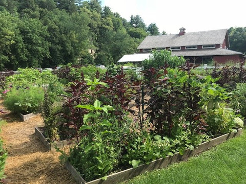 Seed Savers Exchange Heritage Farm-迪科拉必去景点