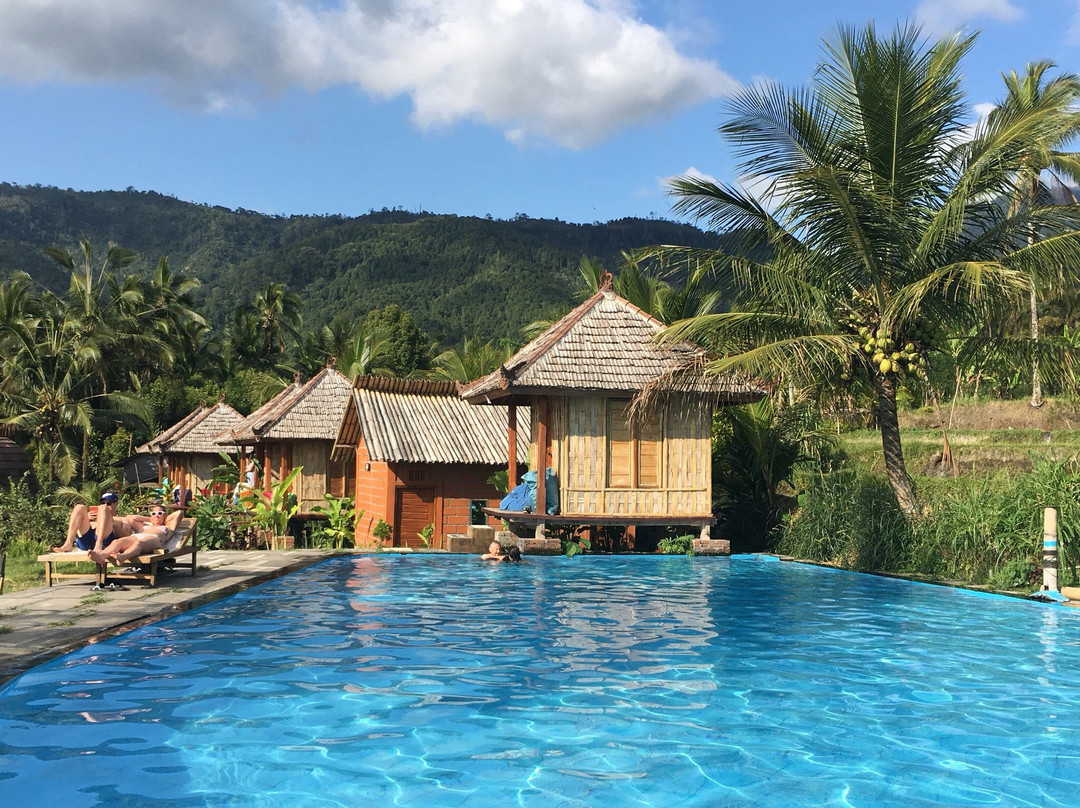 普瑞阳光大酒店主图