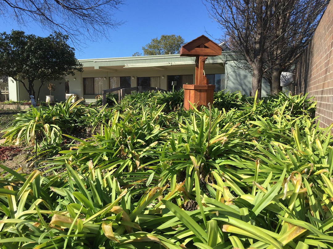 Holbrook Skye Motel主图