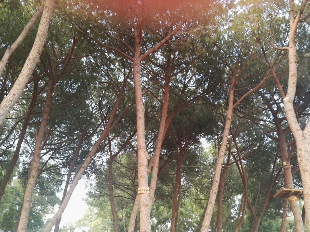 Parco Avventura Fregene-Fregene必去景点