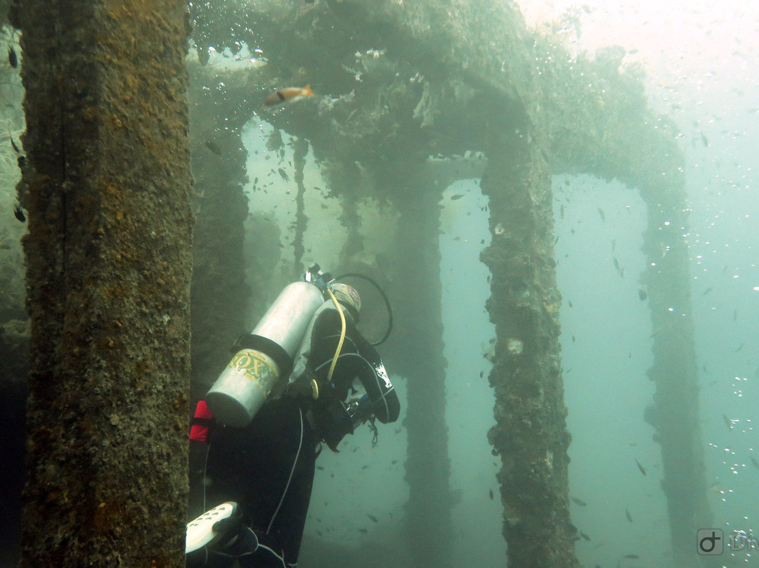 Oceanic Quest Dive Center景点图片