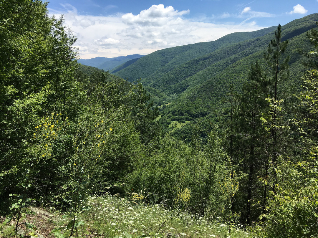 Balcanic:-Bakyovo必去景点