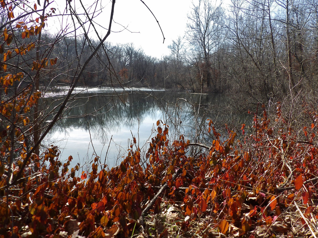 Walter Woods Conservation Area