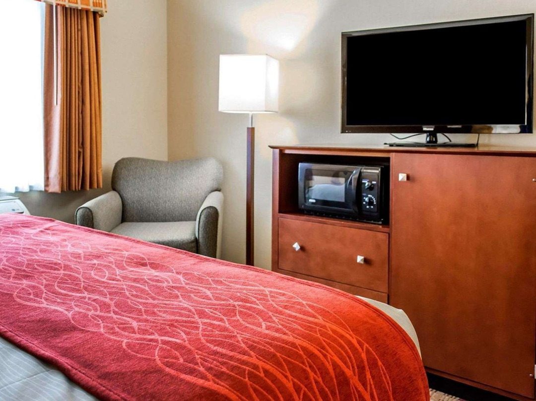 Comfort Inn & Suites Franklin主图