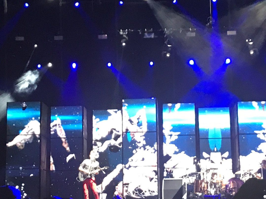 Firefly Music Festival-多佛必去景点