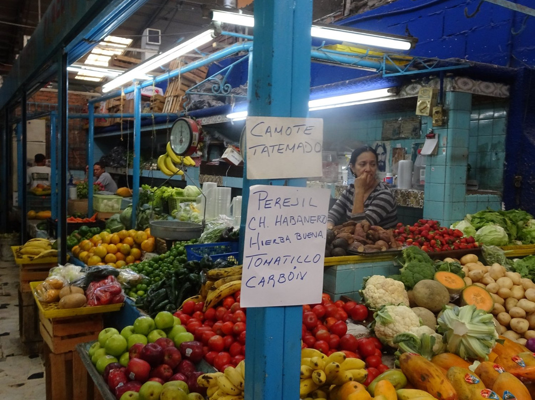 Mercado Pino Suarez景点图片