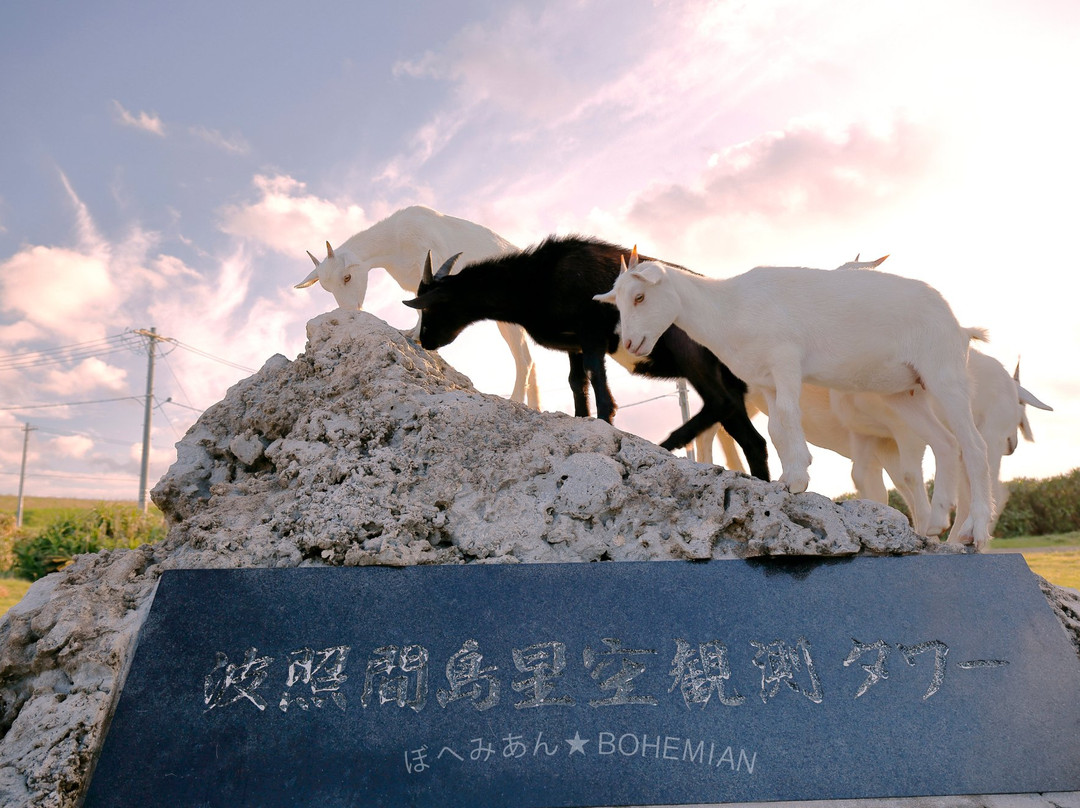 Haterum Island Starlight Tower景点图片