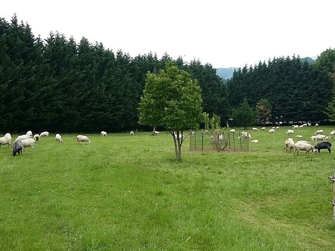 赛伦希尼亚庄园酒店主图