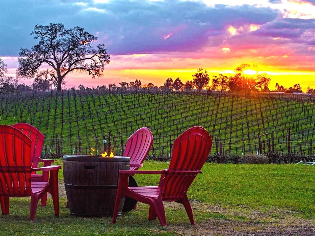 Bordeaux Inn Lodi主图