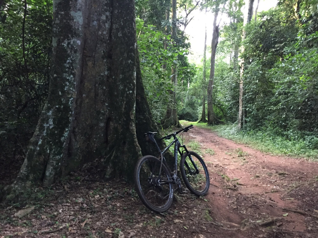 Mpanga Central Forest Reserve-坎帕拉必去景点