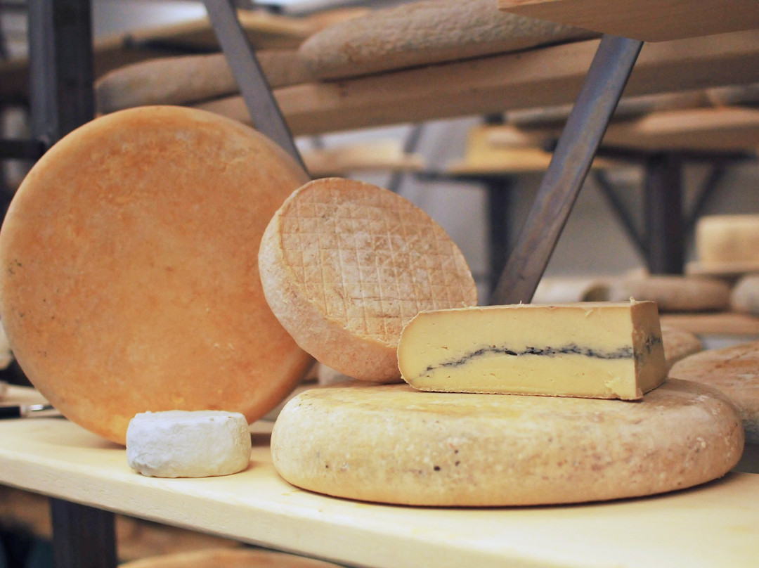Fromagerie Kapuskoise - Artisan Cheese景点图片