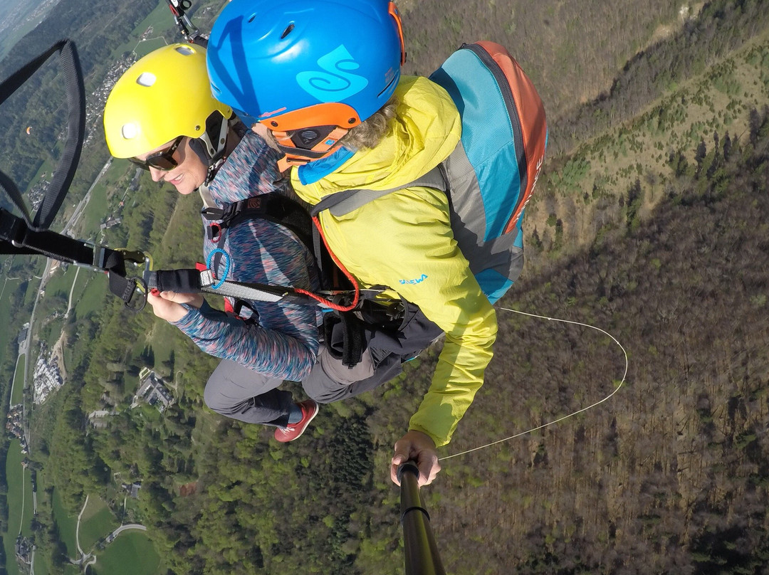 Paragliding in Austria景点图片