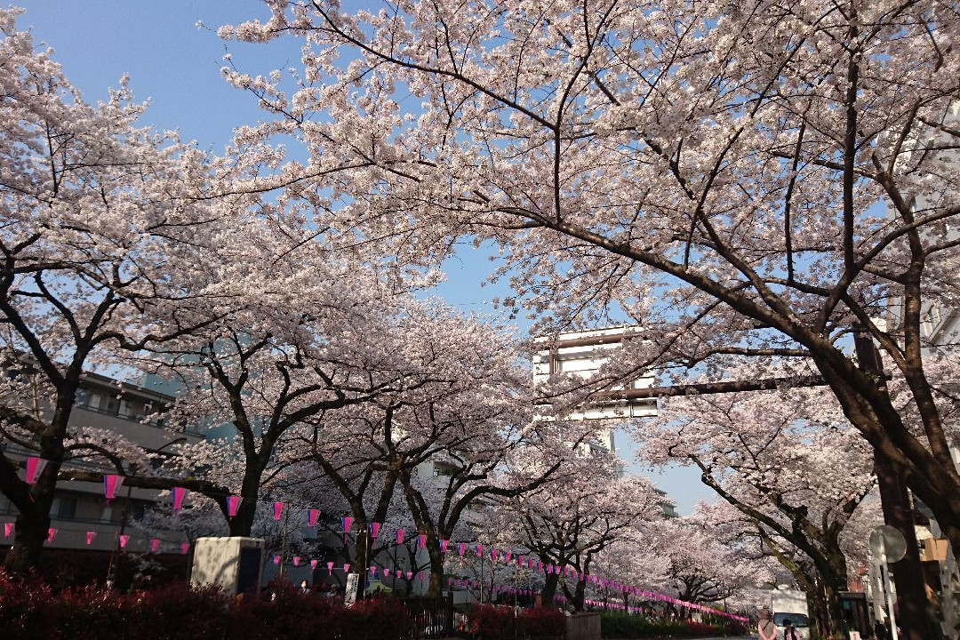 Harimazaka (Harima Slope)景点图片