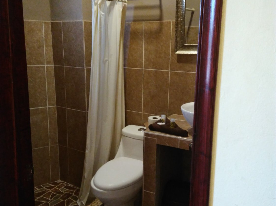 El Sueno de Quetzalcoatl主图