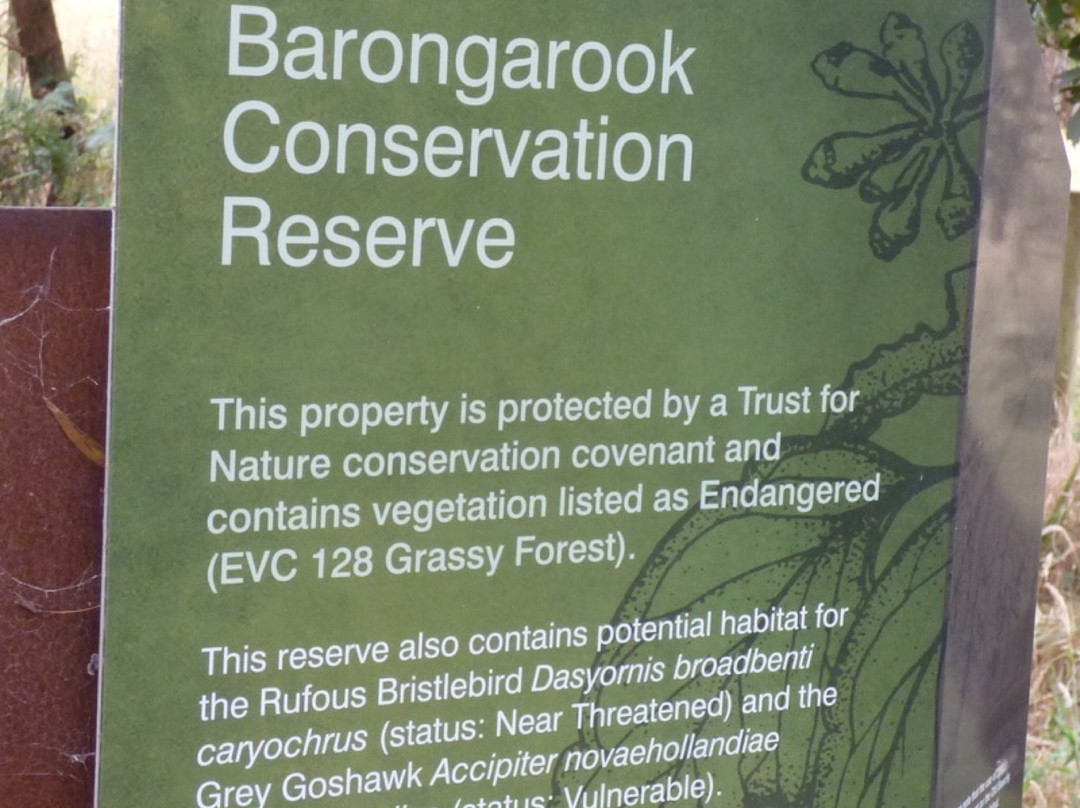 Barongarook Conservation Reserve景点图片