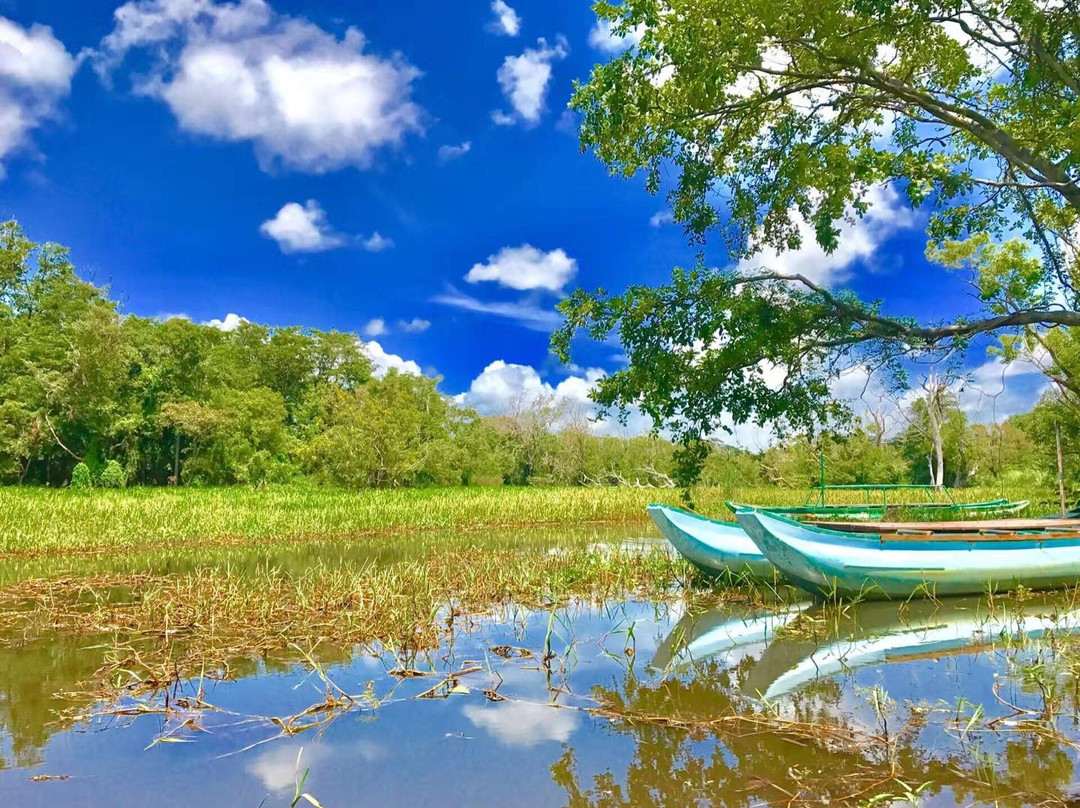 Walk Lanka Holidays-哈巴拉娜必去景点
