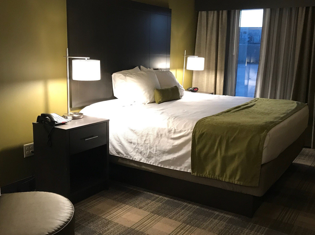 Best Western Plus New Orleans Airport Hotel主图