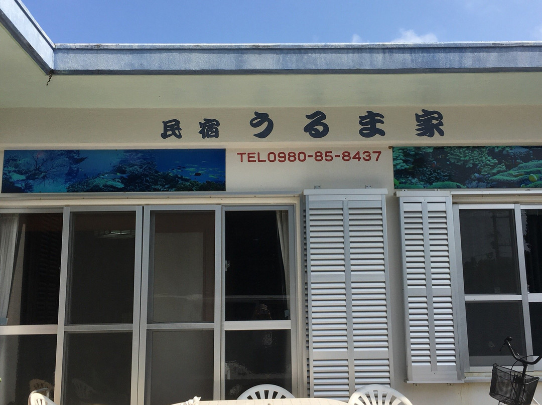 Urumaya主图