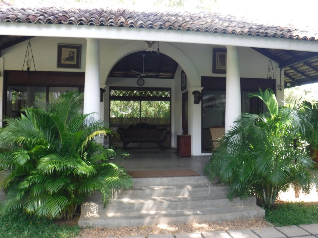 The Wild Heaven主图