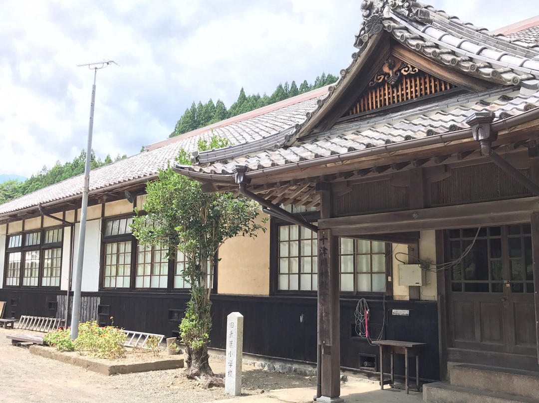 Old Musashi Elementary School to Shidare Sakura景点图片
