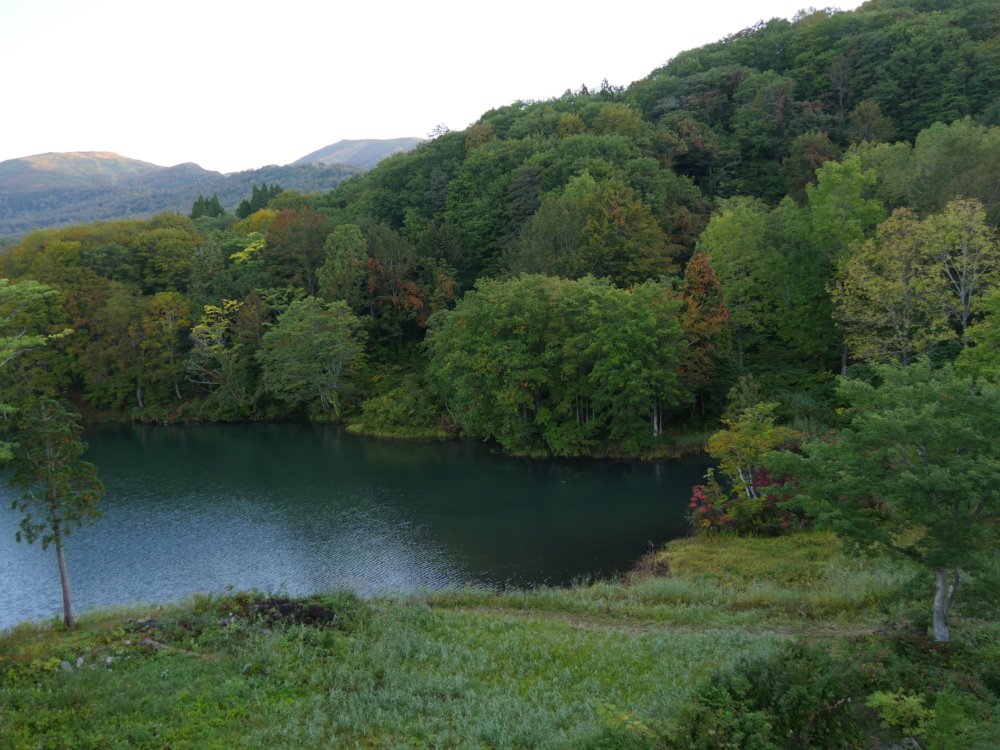 变若水之汤 茑屋-酒店景观